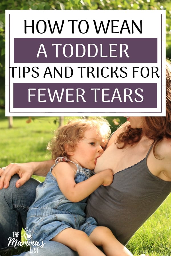 Weaning a toddler can be tricky. From attachment concerns to tantrums, it's definitely a process. Find out how we gradually weaned a breastfeeding toddler with minimal tears.